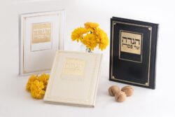 ⁦הגדה " מעבדות לחירות "⁩ – תמונה ⁦4⁩