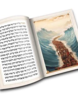 ⁦הגדה לפסח צבעונית⁩ – תמונה ⁦4⁩