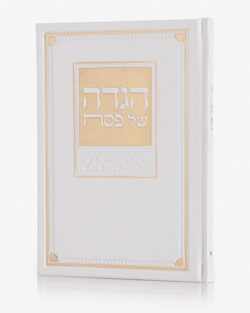 ⁦הגדה " מעבדות לחירות "⁩ – תמונה ⁦3⁩