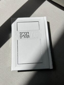 ספר דברים + תהילים – תמונה 4