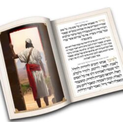 ⁦הגדה לפסח צבעונית⁩ – תמונה ⁦3⁩