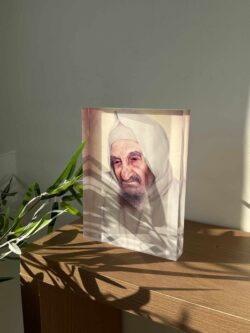 ⁦הבאבא סאלי⁩ – תמונה ⁦2⁩