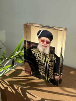 הרב עובדיה יוסף