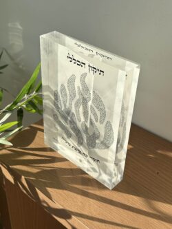 תיקון הכללי – תמונה 2