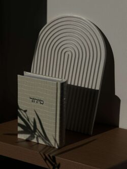 ⁦סידור קרוקודיל⁩ – תמונה ⁦4⁩