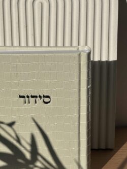 סידור קרוקודיל