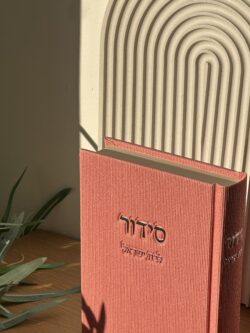סידור קורדורוי - ורוד