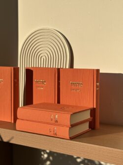 ⁦סט מחזורים מהודר - כתום⁩ – תמונה ⁦3⁩