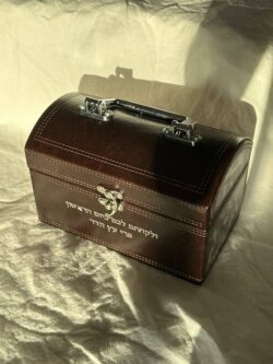 קופסא מהודרת לאתרוג