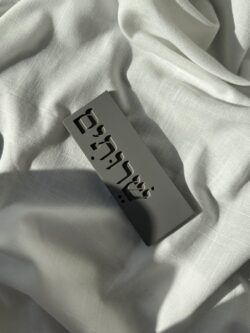 ⁦שלט לשירותים מבטון⁩ – תמונה ⁦2⁩