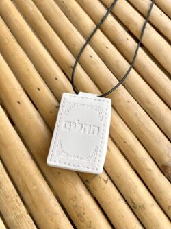 ⁦תהילים + שרשרת⁩ – תמונה ⁦2⁩