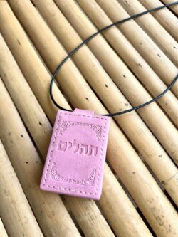 ⁦תהילים + שרשרת⁩ – תמונה ⁦4⁩