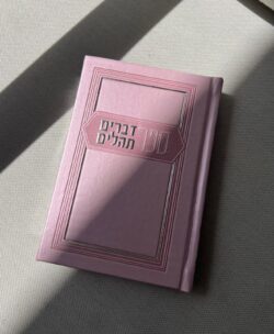 ספר דברים + תהילים – תמונה 2