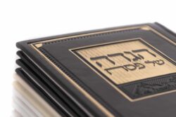 ⁦הגדה " מעבדות לחירות "⁩ – תמונה ⁦2⁩