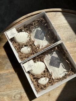 מארז ברכון בת מלך וסט נרות צדפות