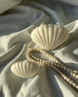 סט נרות צדפה